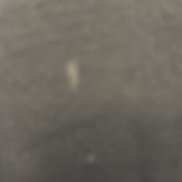 The North Face Blue Crewneck - Picture 5 of 6